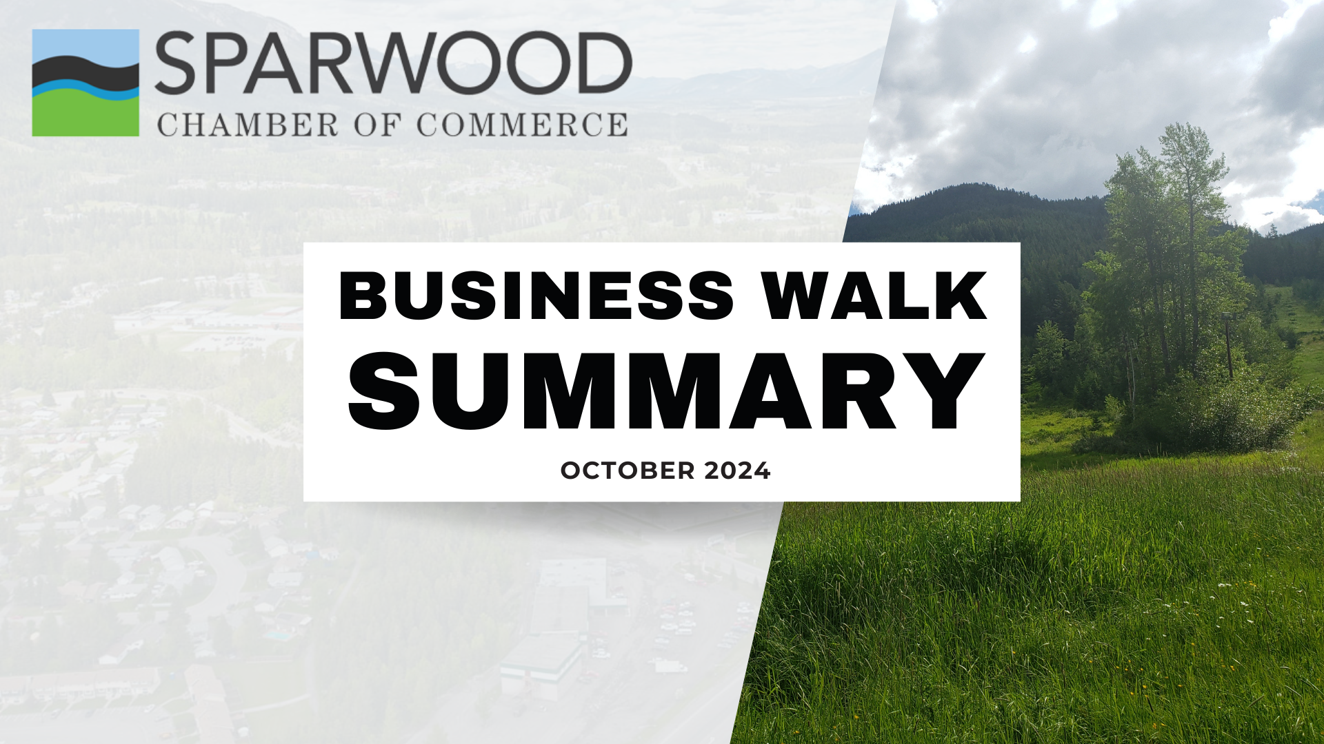 Sparwood Business Walk Summary